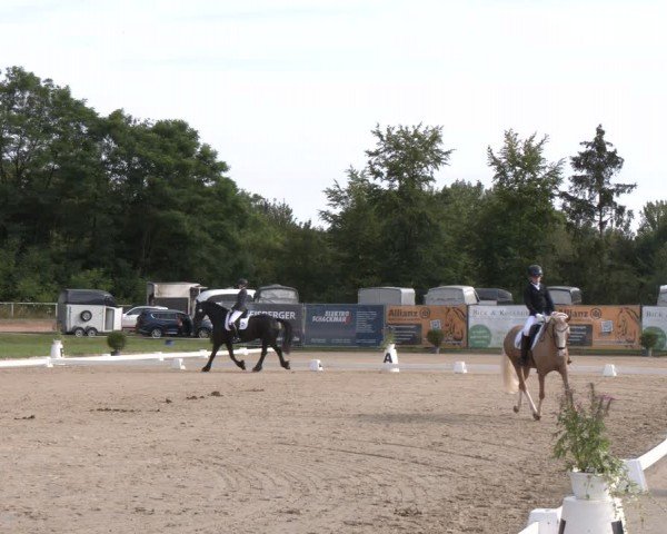 Reitturnier Heiligenwald 2024