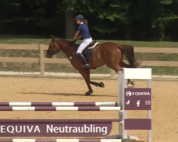 Reitturnier Tiefenhof/Opf. 2024
