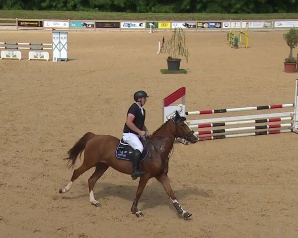 Reitturnier Tiefenhof/Opf. 2024