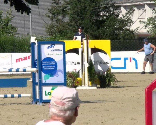 Reitturnier Dagmersellen 2024