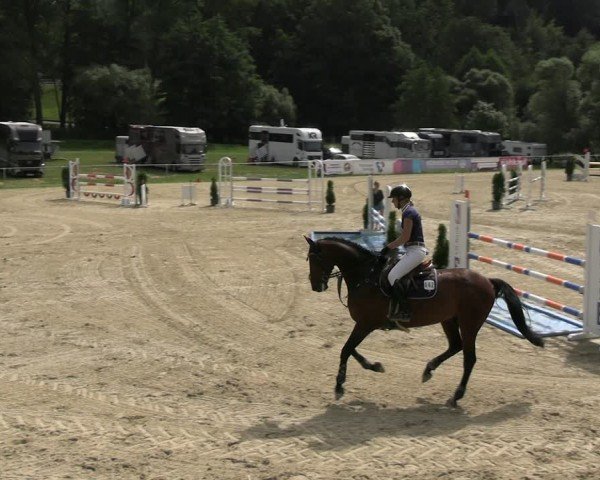 Reitturnier Bad Liebenstein/Sorga 2024