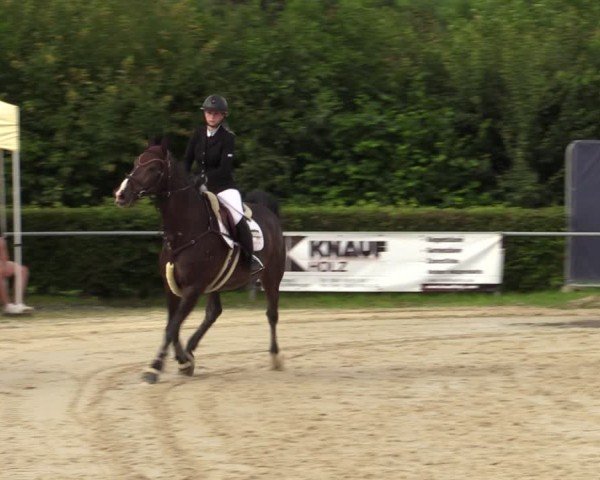 Reitturnier Weiswampach 2024