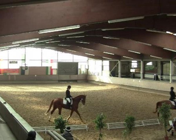 Hallen-Reit- und Springturnier 2013 beim RV Alt Marl