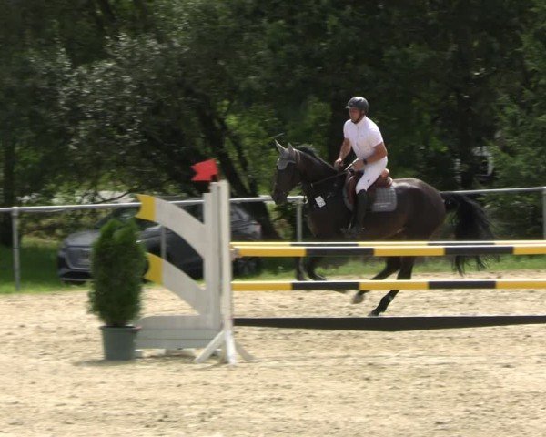 Reitturnier Bad Liebenstein/Sorga 2024