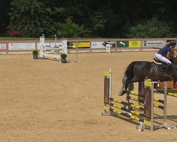 Reitturnier Tiefenhof/Opf. 2024