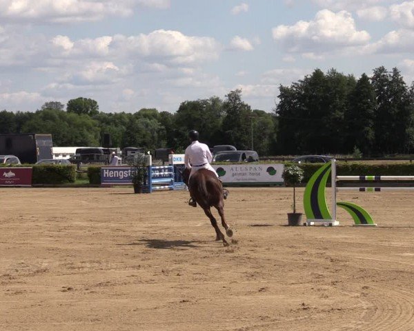 Reitturnier Neustadt/Dosse 2024