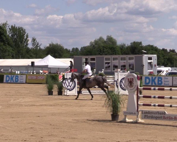 Reitturnier Neustadt/Dosse 2024