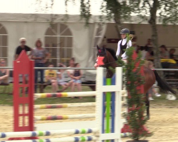 Reitturnier Herbern 2024