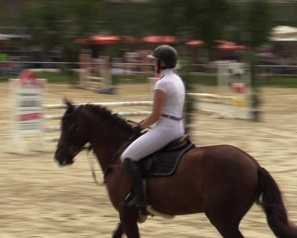 Reitturnier Herbern 2024