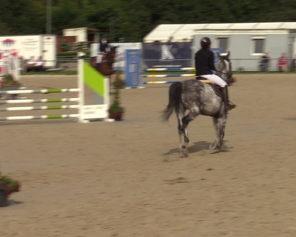 Reitturnier Weiswampach  2024
