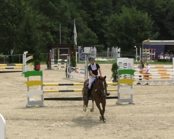 Reitturnier Bad Liebenstein/Sorga 2024