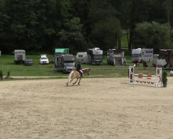 Reitturnier Bad Liebenstein/Sorga 2024