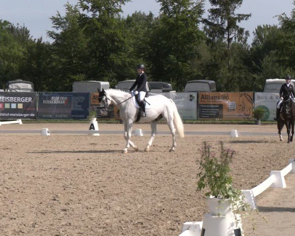 Reitturnier Heiligenwald 2024