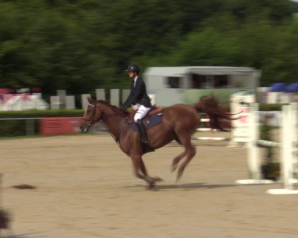 Reitturnier Weiswampach  2024