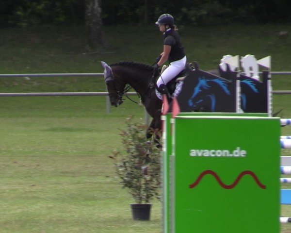 Reitturnier Gardelegen 2024