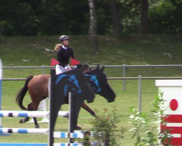 Reitturnier Gardelegen 2024