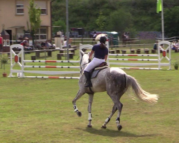 Reitturnier Gardelegen 2024
