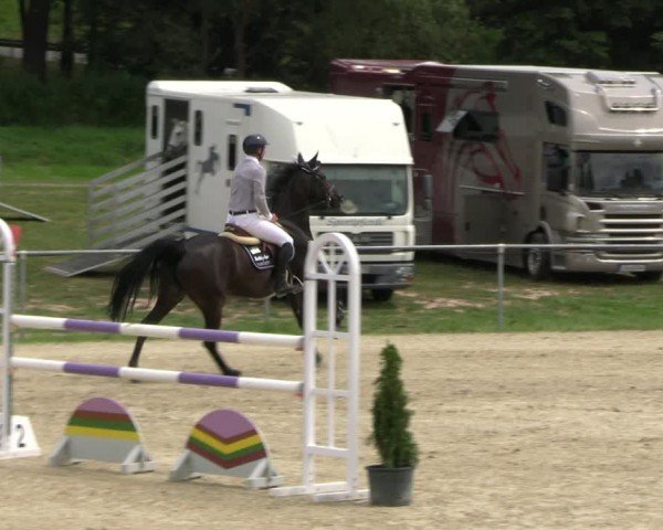 Reitturnier Bad Liebenstein/Sorga 2024