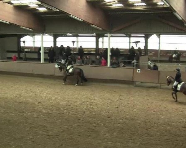 Hallen-Reit- und Springturnier 2013 beim RV Alt Marl