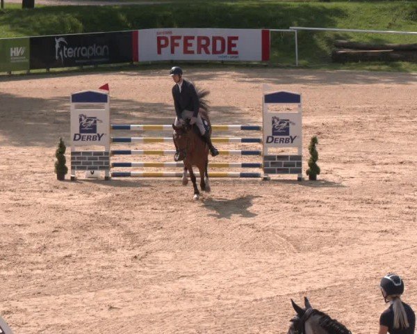 Reitturnier Stadl-Paura 2024