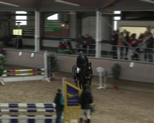 Hallen-Reit- und Springturnier 2013 beim RV Alt Marl