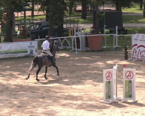 Reitturnier Stadl-Paura 2024