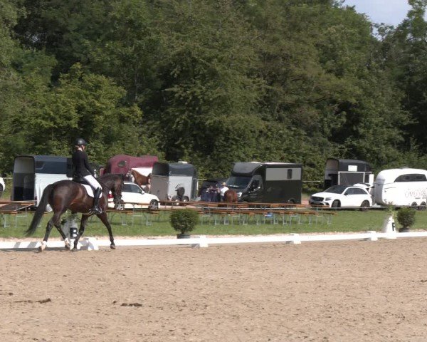 Reitturnier Heiligenwald 2024