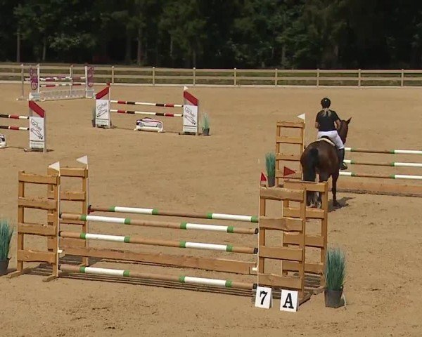 Reitturnier Tiefenhof/Opf. 2024
