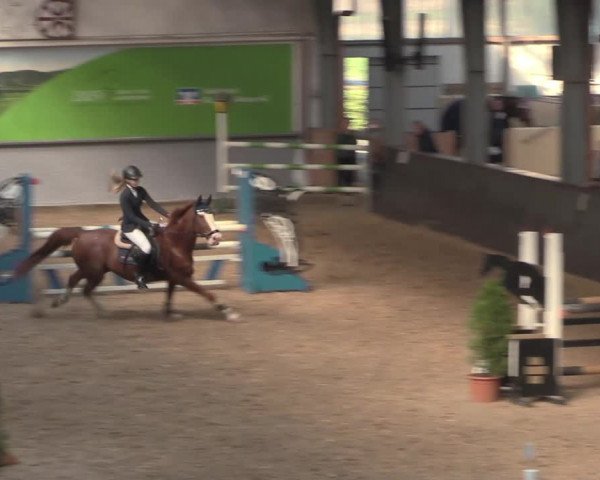 Reitturnier Legden 2021