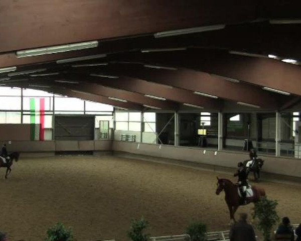 Hallen-Reit- und Springturnier 2013 beim RV Alt Marl