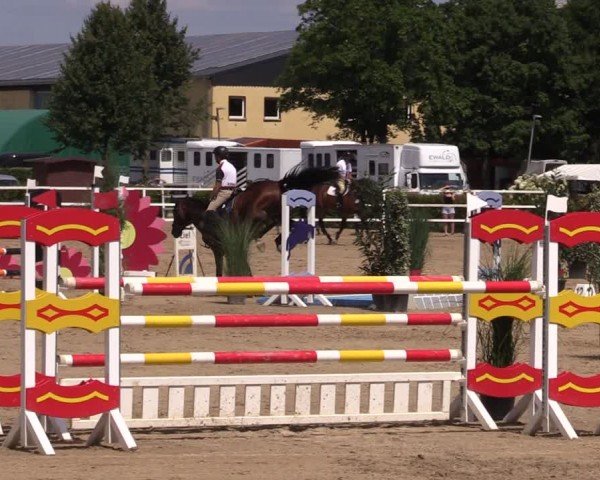 Reitturnier Neustadt/Dosse 2024
