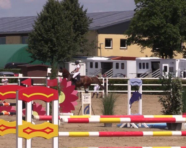 Reitturnier Neustadt/Dosse 2024