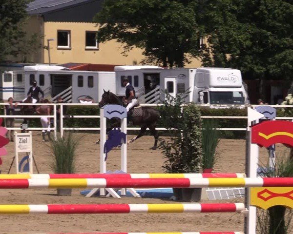 Reitturnier Neustadt/Dosse 2024
