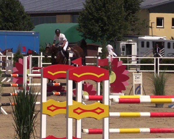Reitturnier Neustadt/Dosse 2024
