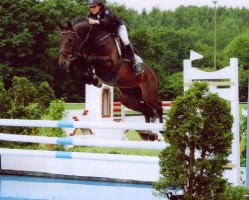 stallion Stakkato's Highlight (Hanoverian, 2001, from Stakkato)