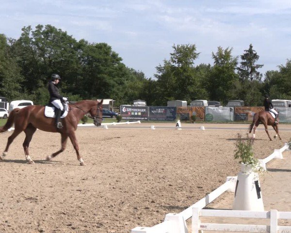 Reitturnier Heiligenwald 2024