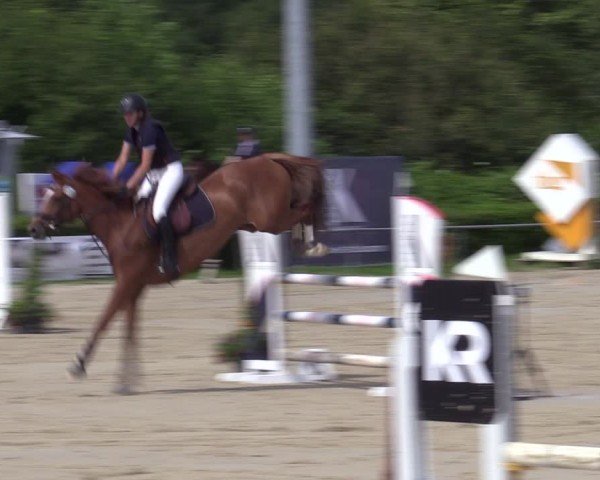 Reitturnier Weiswampach  2024