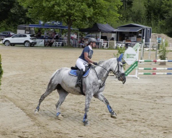 Reitturnier Heiligenwald 2024