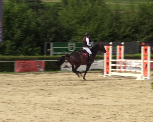 Reitturnier Weiswampach  2024
