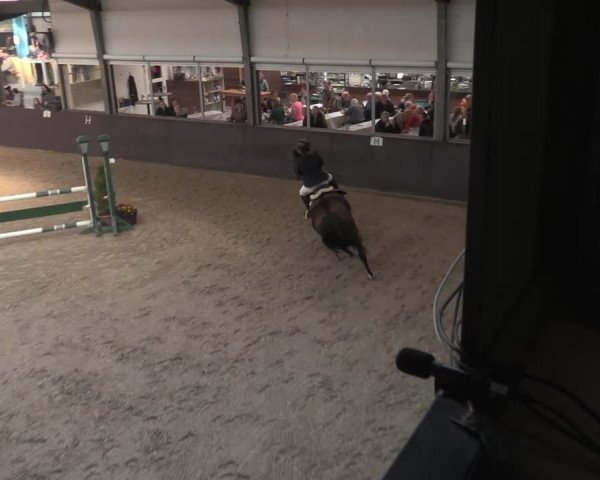 Reitturnier Legden 2021