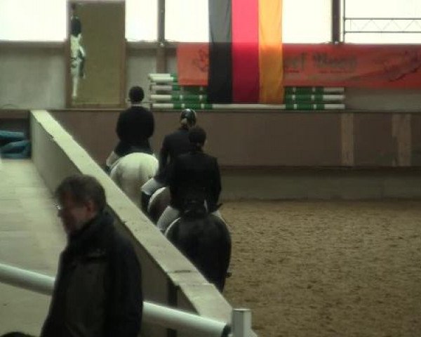 Hallen-Reit- und Springturnier 2013 beim RV Alt Marl