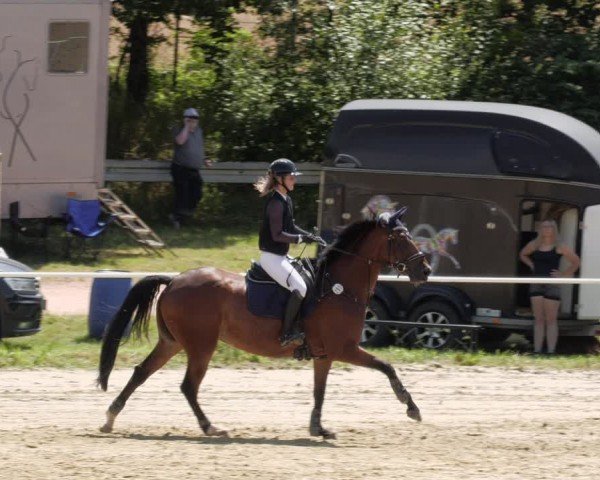 Reitturnier Heiligenwald 2024