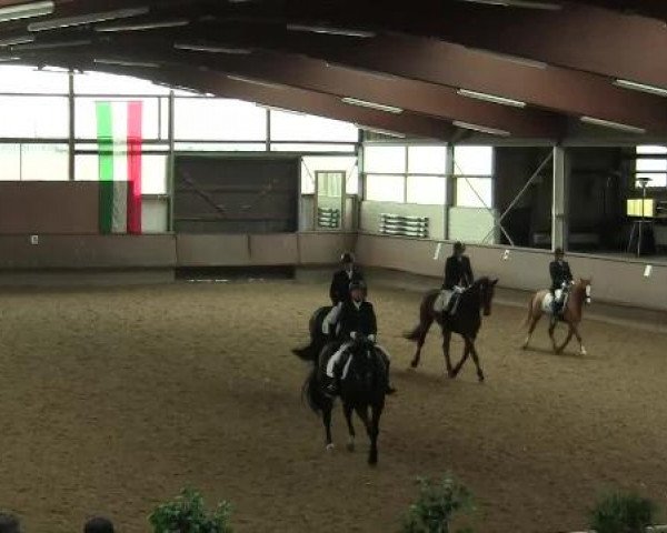 Hallen-Reit- und Springturnier 2013 beim RV Alt Marl