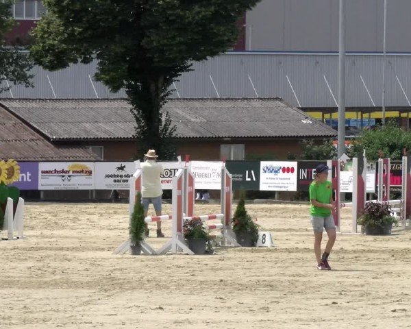 Reitturnier Dagmersellen 2024