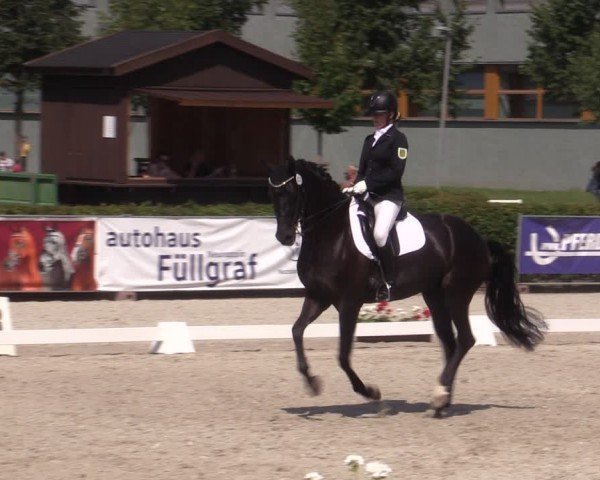 Reitturnier Neustadt/Dosse 2024