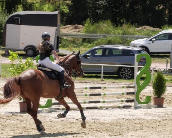 Reitturnier Heiligenwald 2024