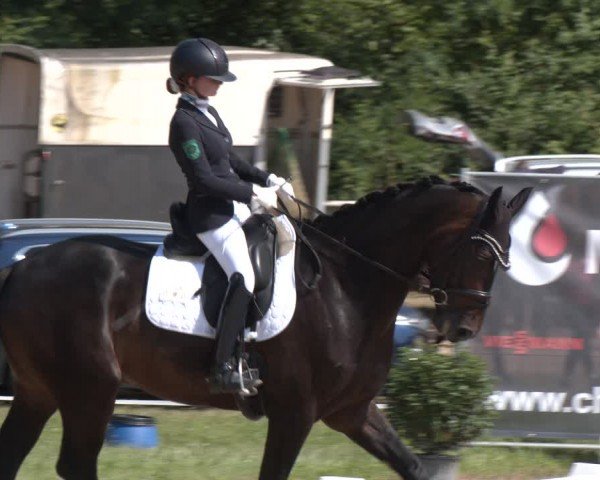 Reitturnier Heiligenwald 2024