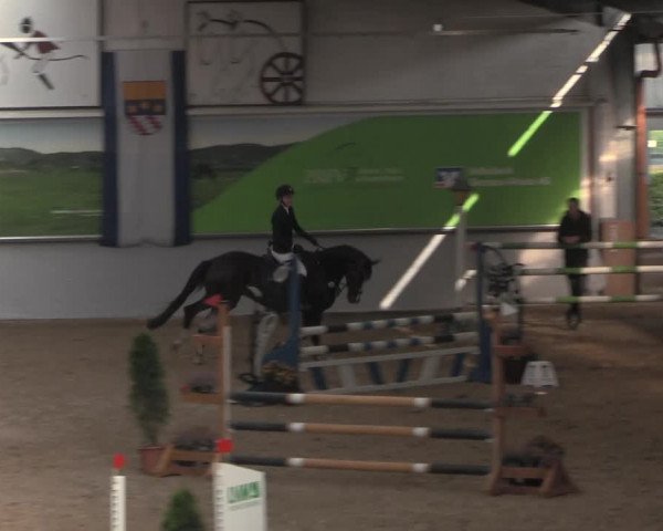Reitturnier Legden 2021