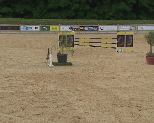 Reitturnier Tiefenhof/Opf. 2024