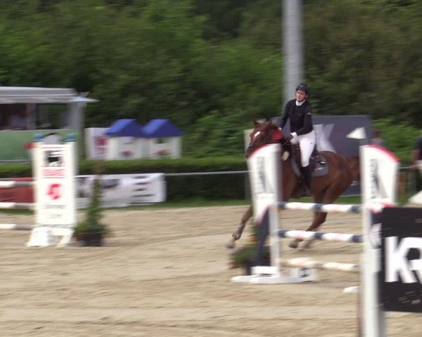Reitturnier Weiswampach  2024
